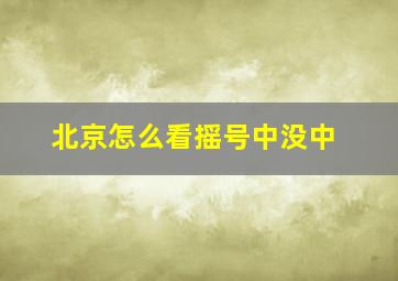 北京怎么看摇号中没中