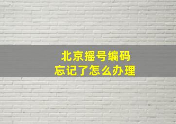 北京摇号编码忘记了怎么办理