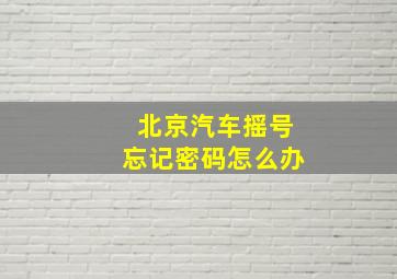 北京汽车摇号忘记密码怎么办