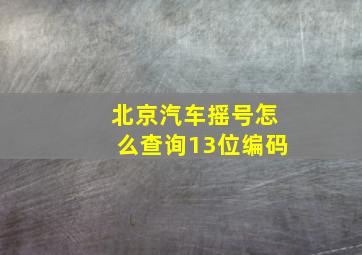 北京汽车摇号怎么查询13位编码