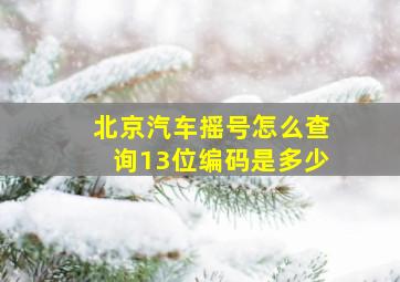 北京汽车摇号怎么查询13位编码是多少