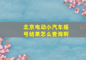 北京电动小汽车摇号结果怎么查询啊