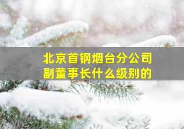 北京首钢烟台分公司副董事长什么级别的