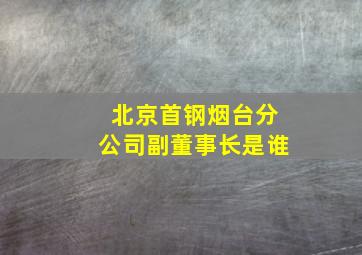 北京首钢烟台分公司副董事长是谁