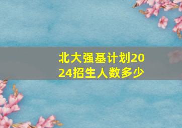 北大强基计划2024招生人数多少