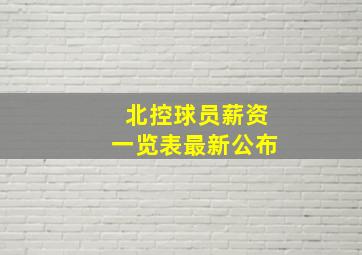 北控球员薪资一览表最新公布