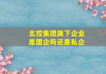 北控集团旗下企业是国企吗还是私企