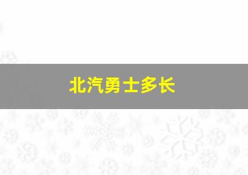 北汽勇士多长