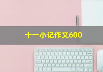 十一小记作文600