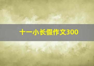 十一小长假作文300