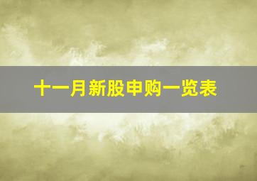 十一月新股申购一览表