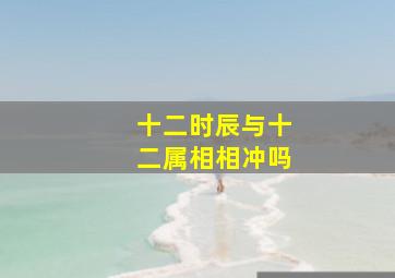 十二时辰与十二属相相冲吗