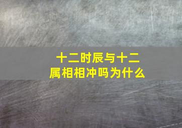 十二时辰与十二属相相冲吗为什么