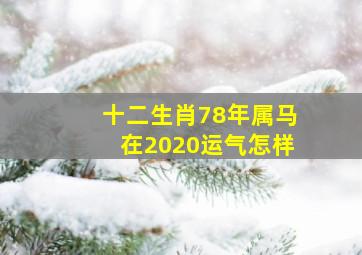 十二生肖78年属马在2020运气怎样