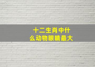 十二生肖中什么动物眼睛最大