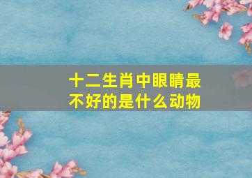 十二生肖中眼睛最不好的是什么动物