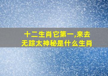 十二生肖它第一,来去无踪太神秘是什么生肖