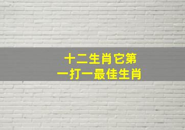 十二生肖它第一打一最佳生肖