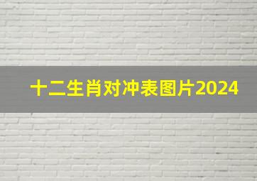 十二生肖对冲表图片2024