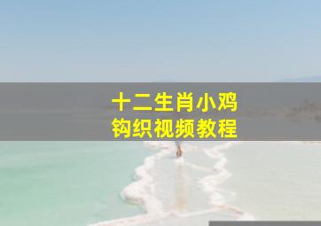 十二生肖小鸡钩织视频教程