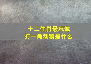 十二生肖最忠诚打一肖动物是什么