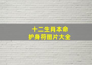 十二生肖本命护身符图片大全