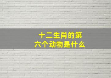 十二生肖的第六个动物是什么