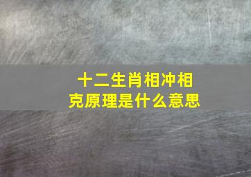 十二生肖相冲相克原理是什么意思