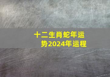 十二生肖蛇年运势2024年运程