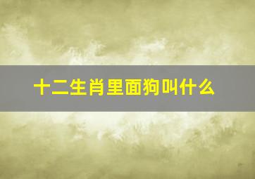 十二生肖里面狗叫什么