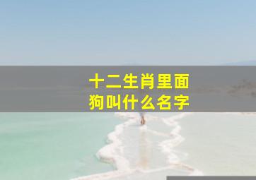 十二生肖里面狗叫什么名字