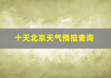 十天北京天气预报查询