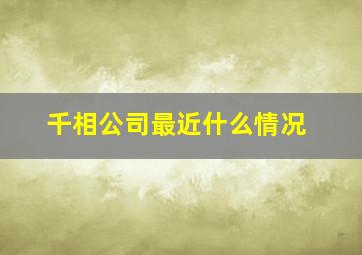 千相公司最近什么情况