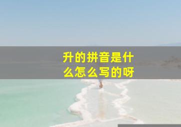 升的拼音是什么怎么写的呀