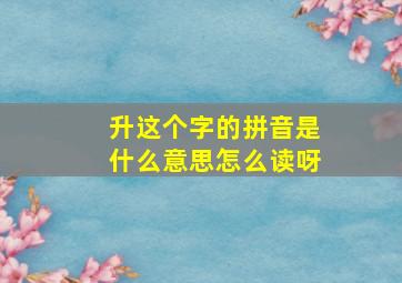 升这个字的拼音是什么意思怎么读呀