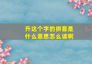 升这个字的拼音是什么意思怎么读啊