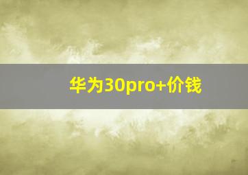 华为30pro+价钱