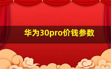 华为30pro价钱参数