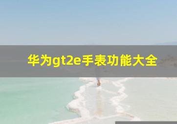 华为gt2e手表功能大全