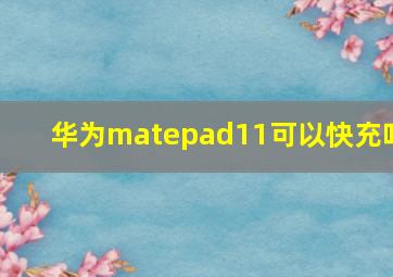 华为matepad11可以快充吗