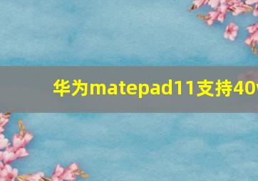 华为matepad11支持40w