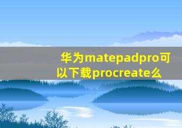 华为matepadpro可以下载procreate么