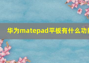 华为matepad平板有什么功能