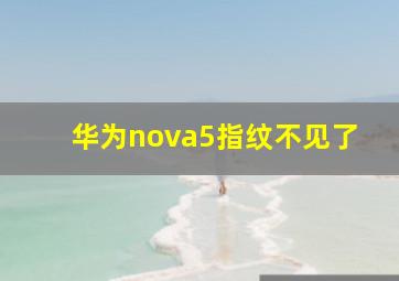 华为nova5指纹不见了