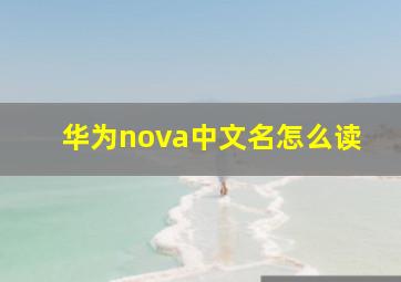 华为nova中文名怎么读