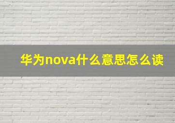 华为nova什么意思怎么读