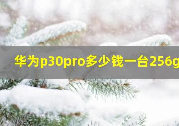 华为p30pro多少钱一台256g的