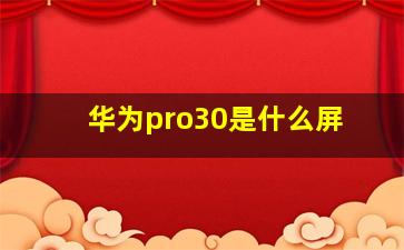 华为pro30是什么屏