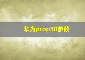 华为prop30参数