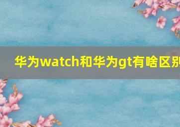 华为watch和华为gt有啥区别